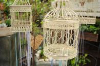 vintage birdcages 