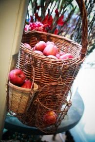 fruit collection wicker baskets